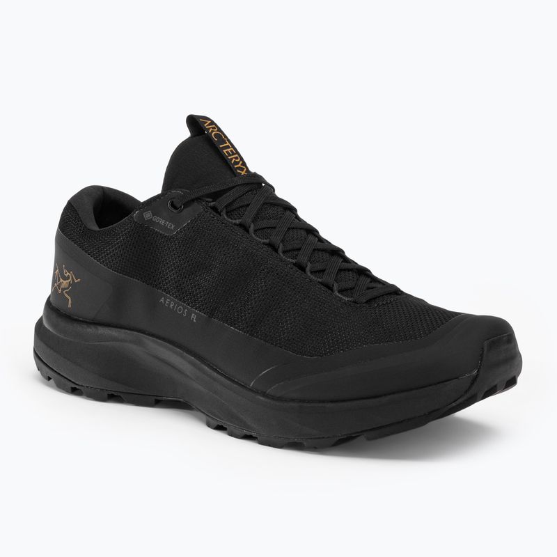 Men's trekking boots Arc'teryx Aerios FL 2 GTX black X000006553005