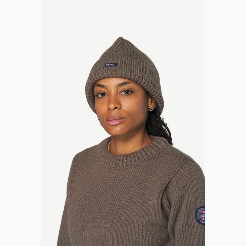 Winter hat Devold Nansen Wool falcon 2