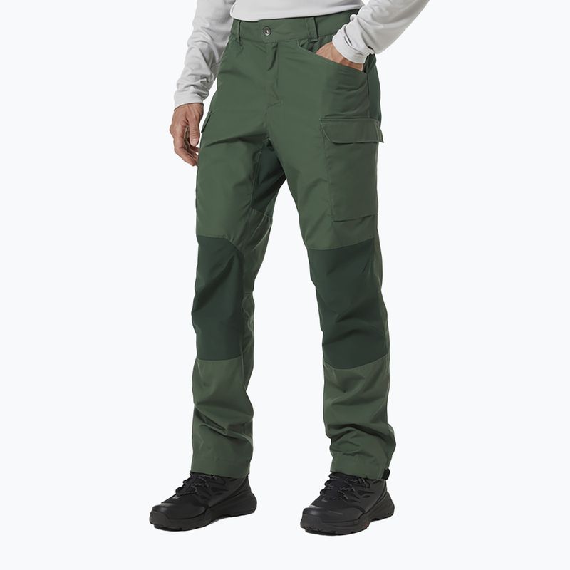 Helly Hansen men's trekking trousers Vandre Tur green 62698_476