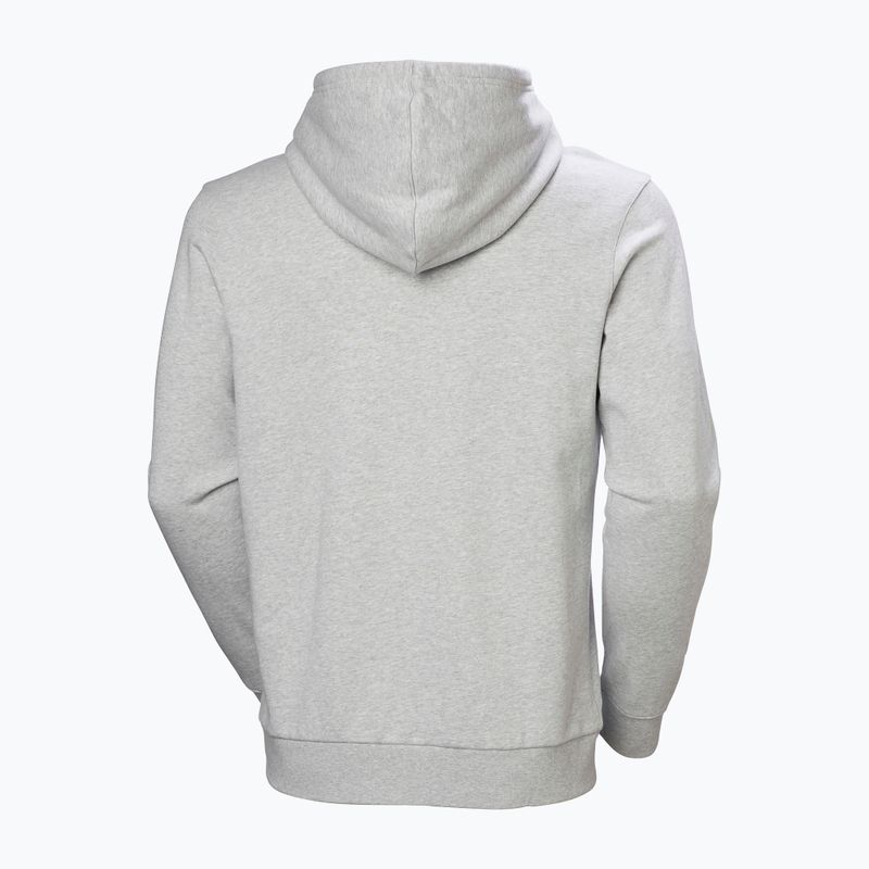Men's sweatshirt Helly Hansen HH Logo Hoodie grey/melange 6
