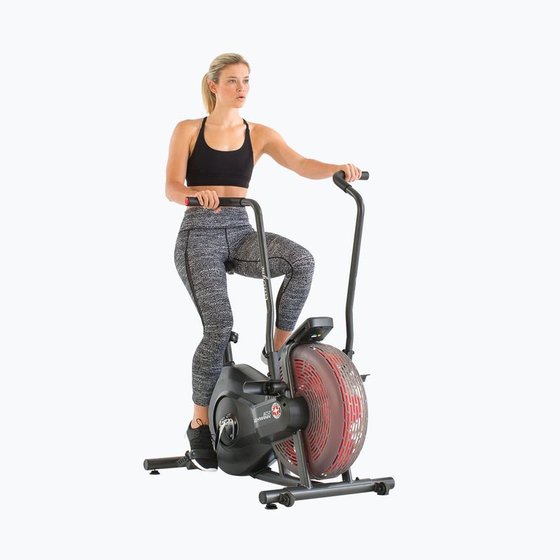 Schwinn Airdyne Ad2I air bike 100430 2