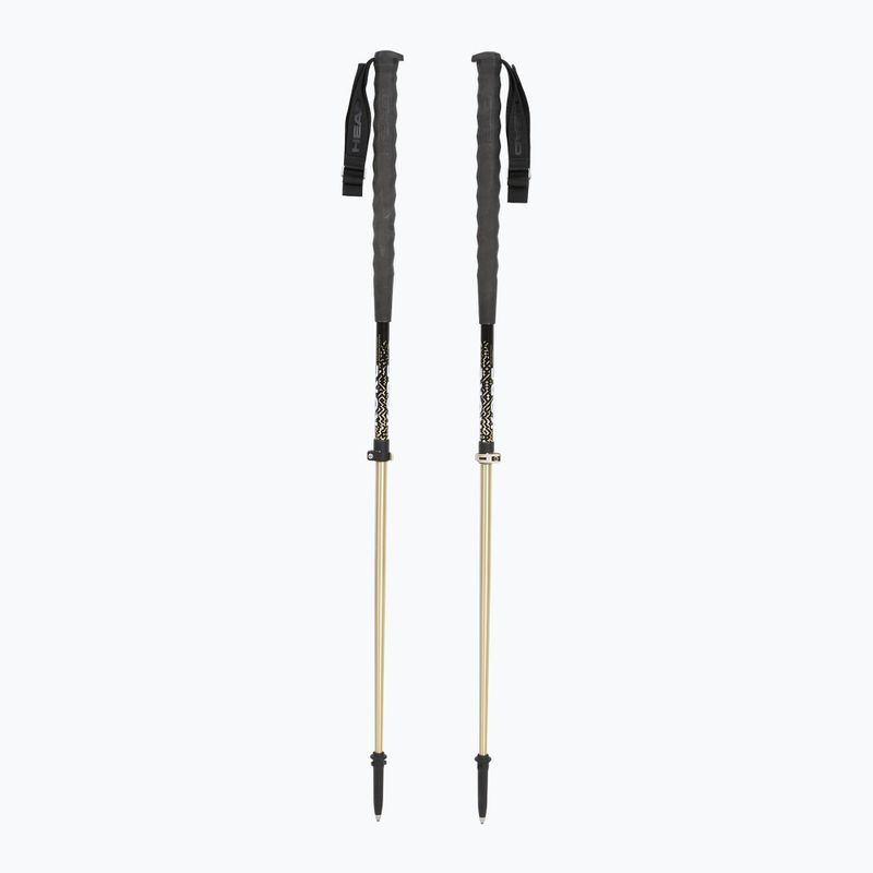 Ski poles HEAD Kore Free Tour metallic sand/black 5
