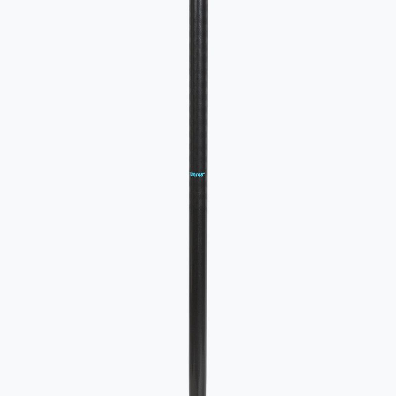 Ski poles HEAD Frontside carbon black/speed blue 4