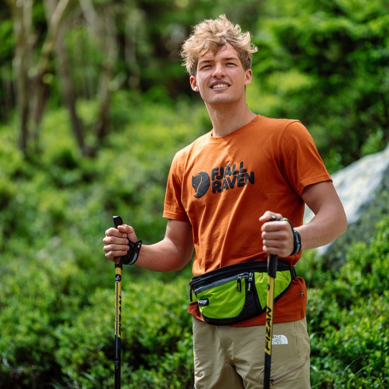 Men's Fjällräven Logo trekking t-shirt brown F87310 3