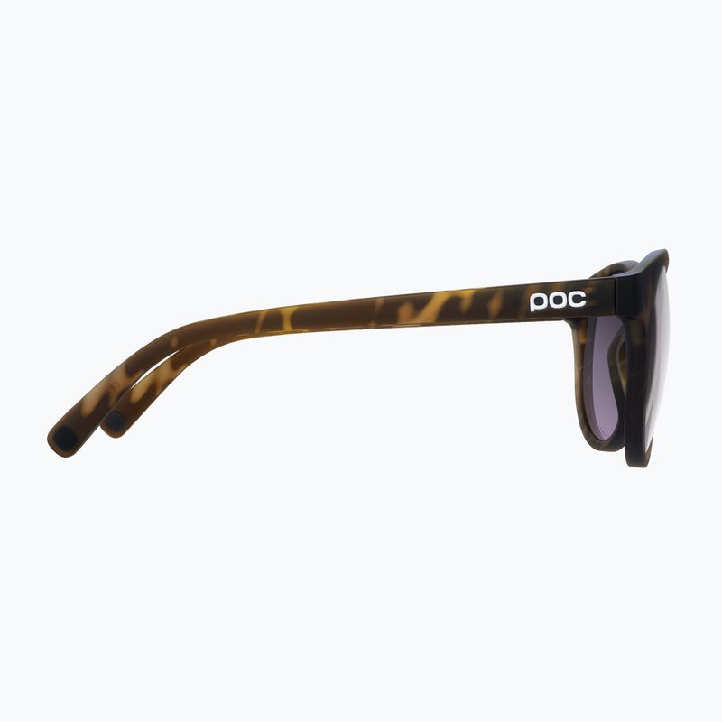 POC Know tortoise brown/clarity road/sunny silver sunglasses 4