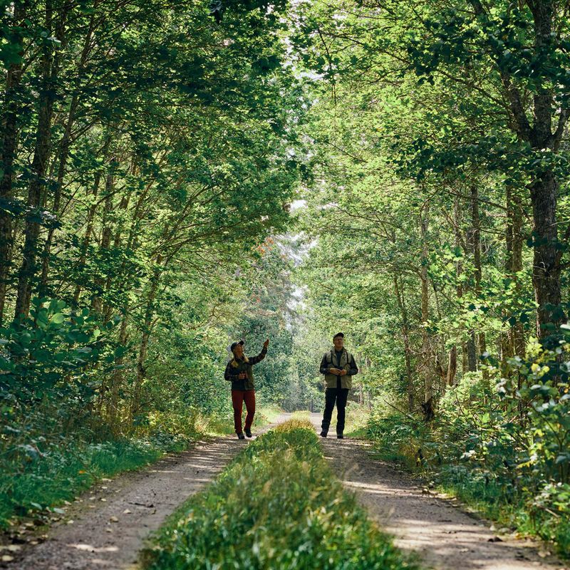 Men's trekking trousers Pinewood Caribou TC Extreme moss green/black 6