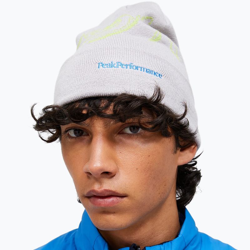 Beanie Peak Performance Mountain Antarctica/Deluded Vision 2