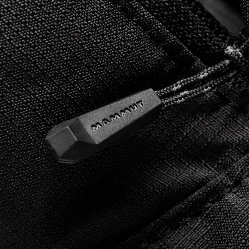 Mammut Classic Bumbag 2L kidney sachet black 10