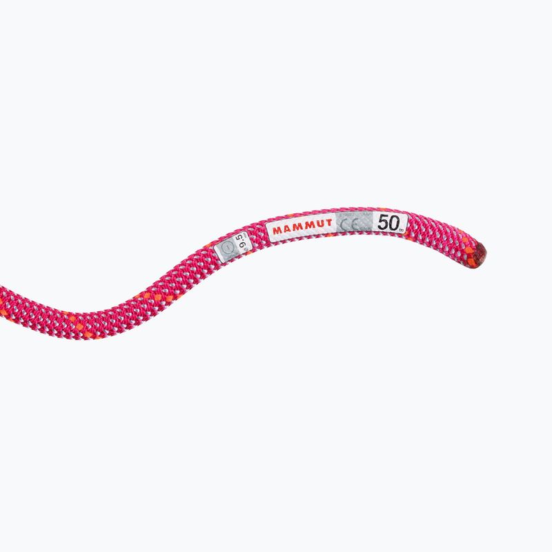 Mammut 9.5 Crag Dry climbing rope pink 2