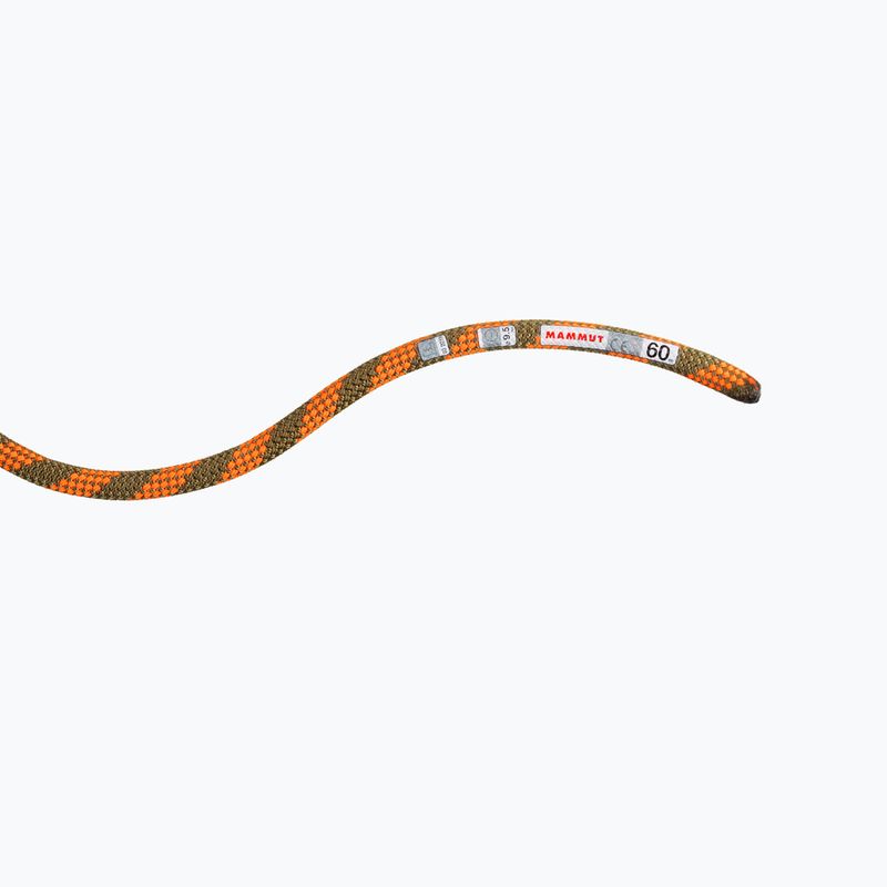 Mammut 9.5 Crag Dry climbing rope orange 2