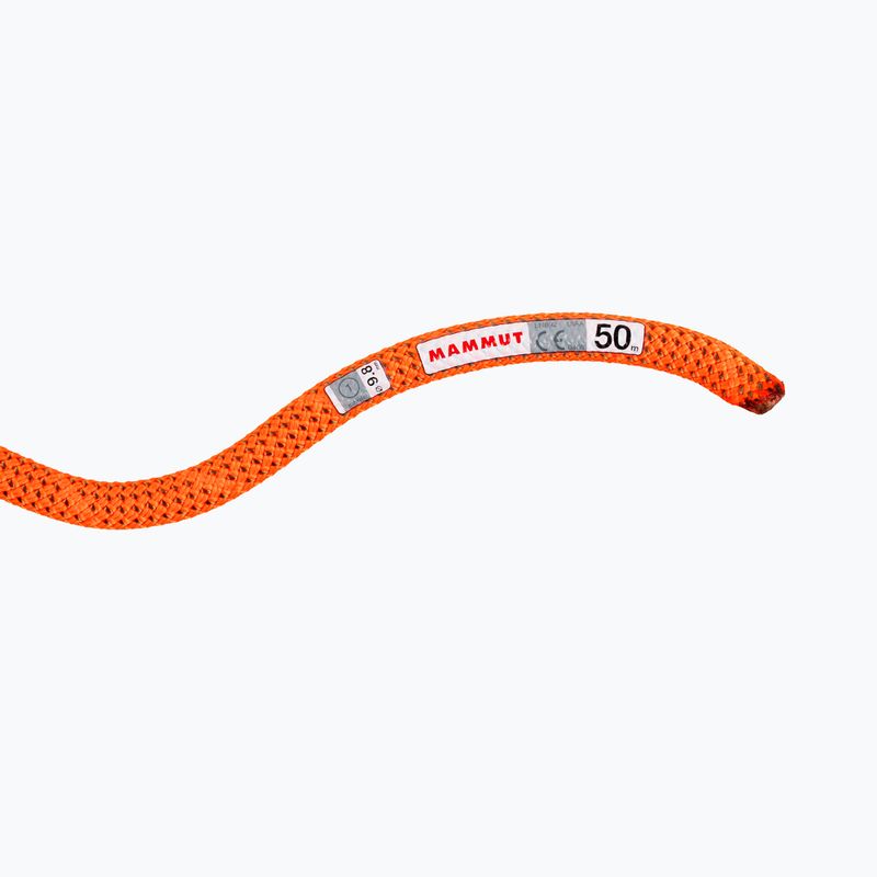Mammut9.8 Crag Dry climbing rope orange 2