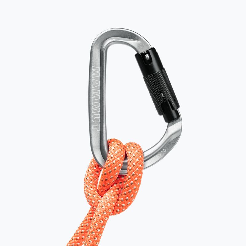 Mammut Classic HMS Twistlock Plus carabiner silver 2040-02480-17273-1 5