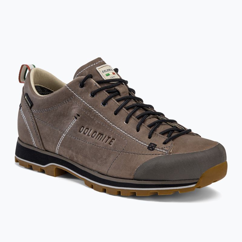 Men's Dolomite 54 Low FG GTX trekking boots brown 247959-1927