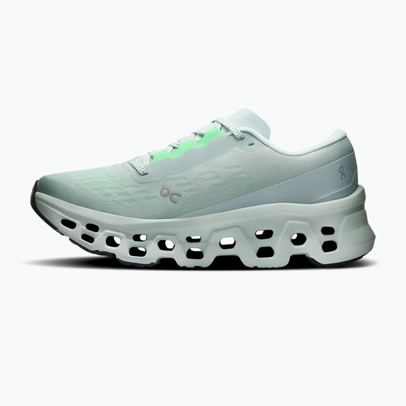 Women's running shoes On Cloudmonster 3 brook/flurry 2