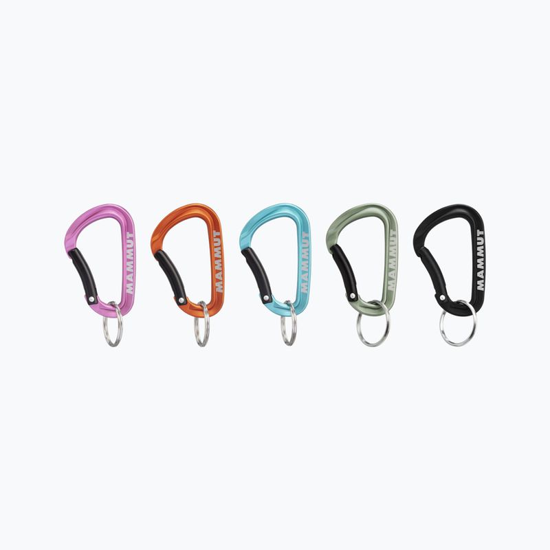 Mammut Mini Carabiner Classic Keylock S 9000 coloured