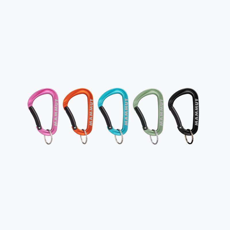 Mammut Mini Carabiner Workhorse Keylock L 9000 various colours