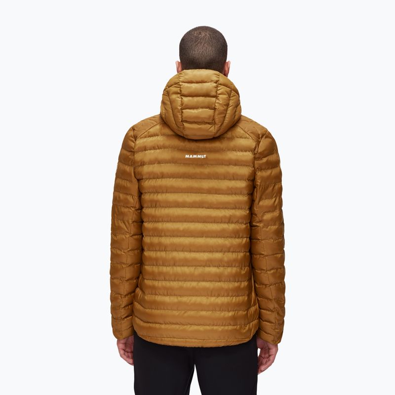 Men's down jacket Mammut Albula IN gold 1013-01781 2
