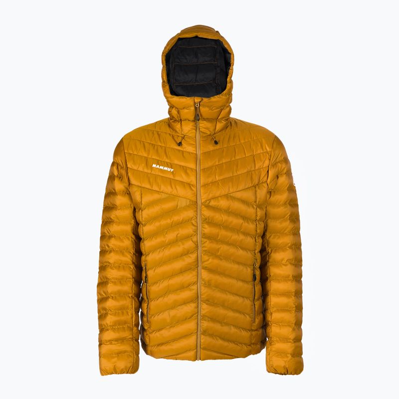 Men's down jacket Mammut Albula IN gold 1013-01781