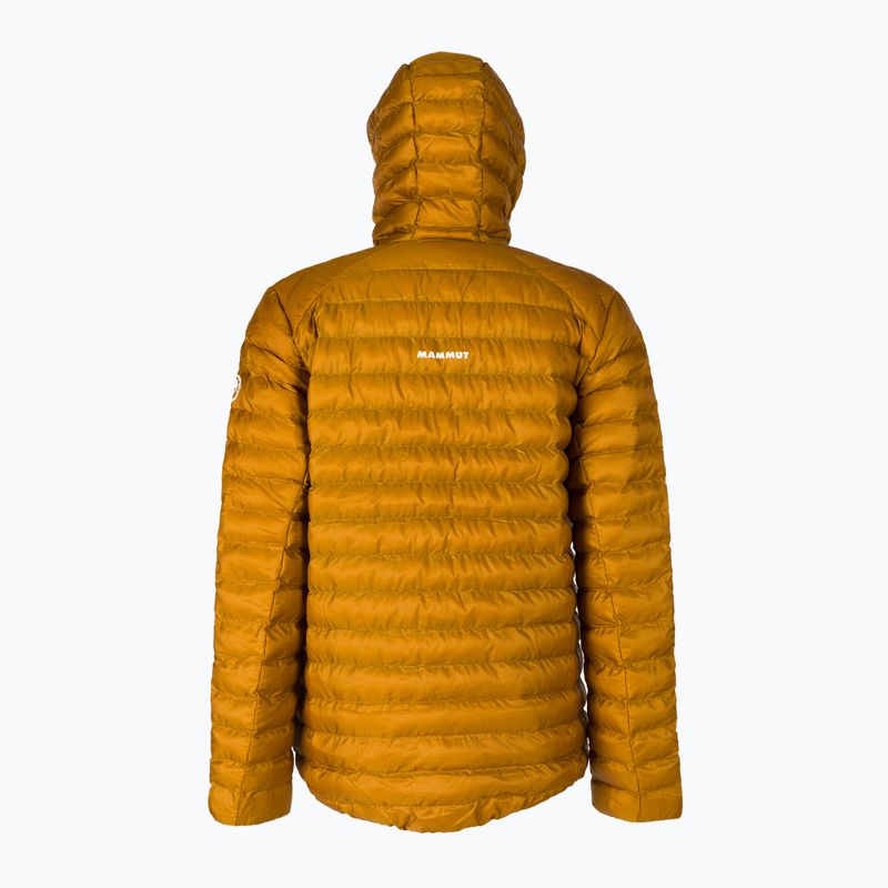 Men's down jacket Mammut Albula IN gold 1013-01781 2