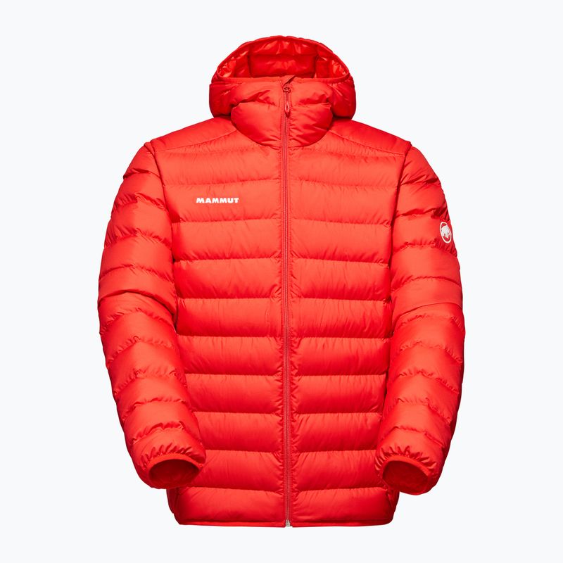 Men's down jacket Mammut Waymarker IN Hooded mammut red 4