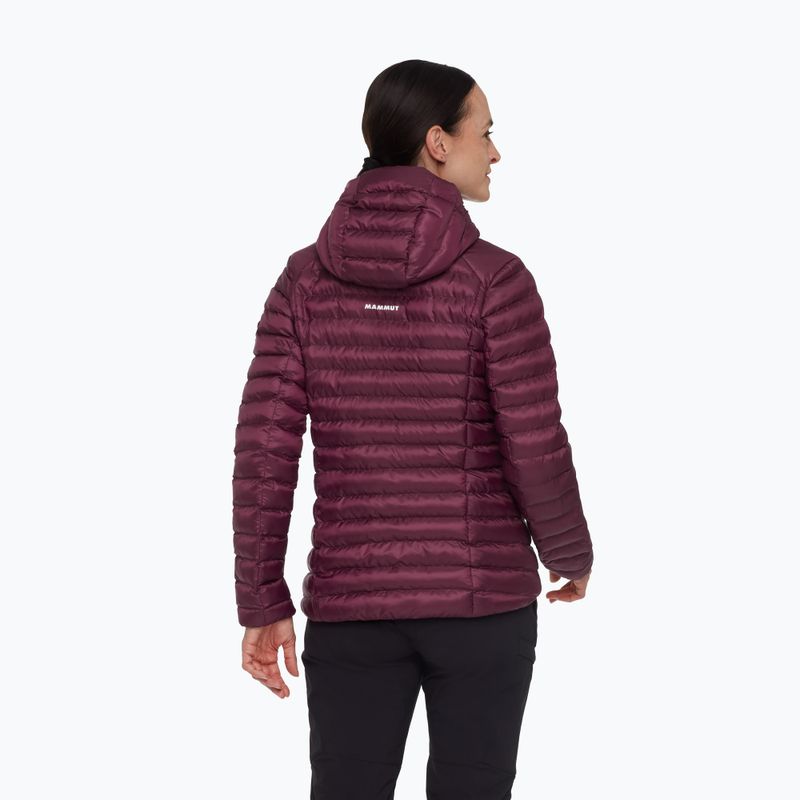 Women's insulated jacket Mammut Albula IN Hooded vin/black 2