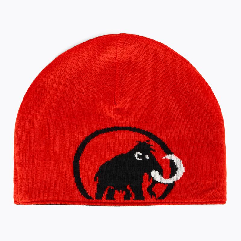 Winter hat Mammut Logo black 4