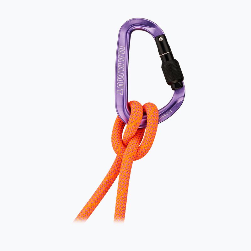 Carbiner Mammut Classic HMS Screwgate screw gate/alpine calamint 2