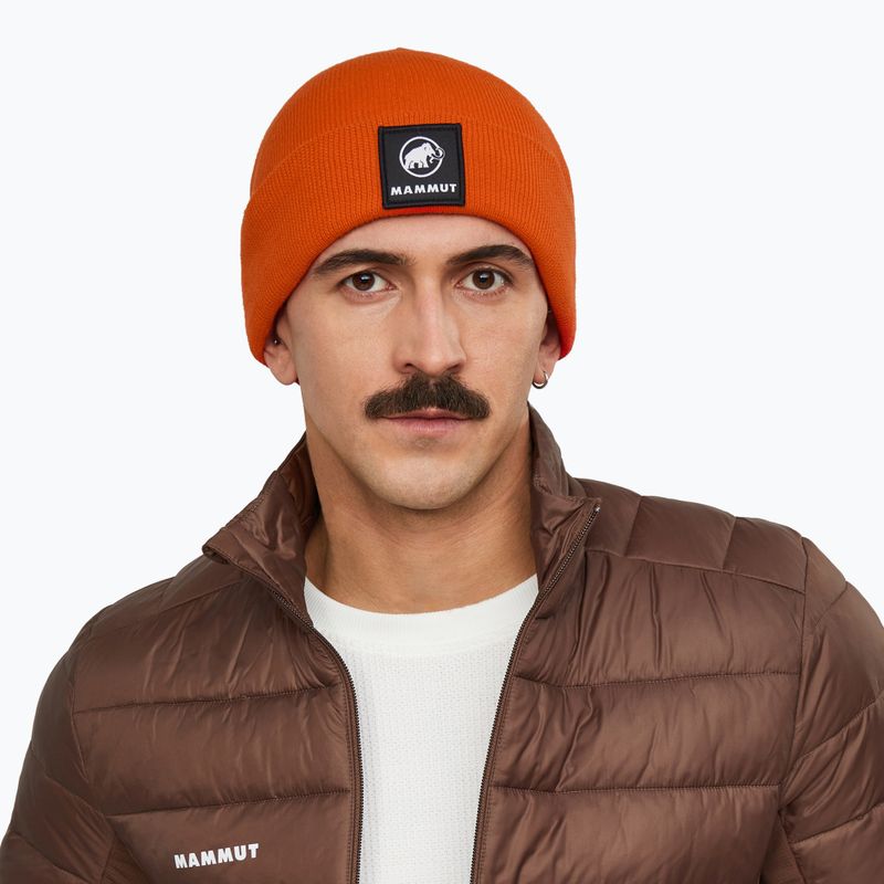 Winter hat Mammut Fedoz Beanie autumn larice 3