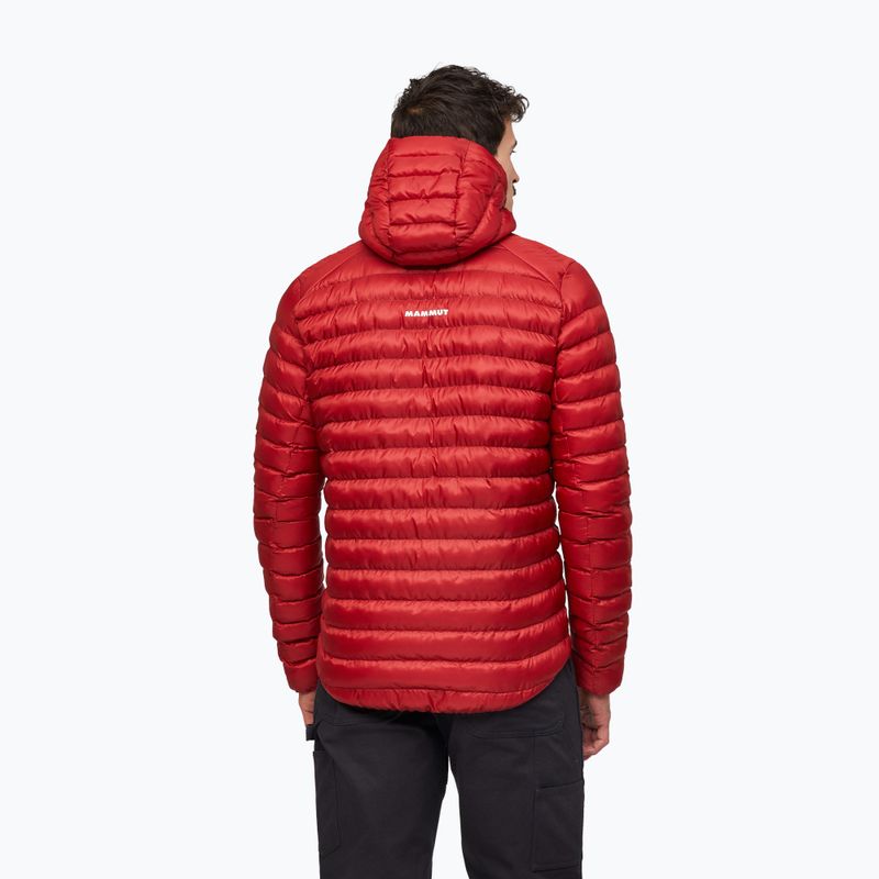Men's insulated jacket Mammut Albula IN Hooded Jacket Men dark mammut red 2