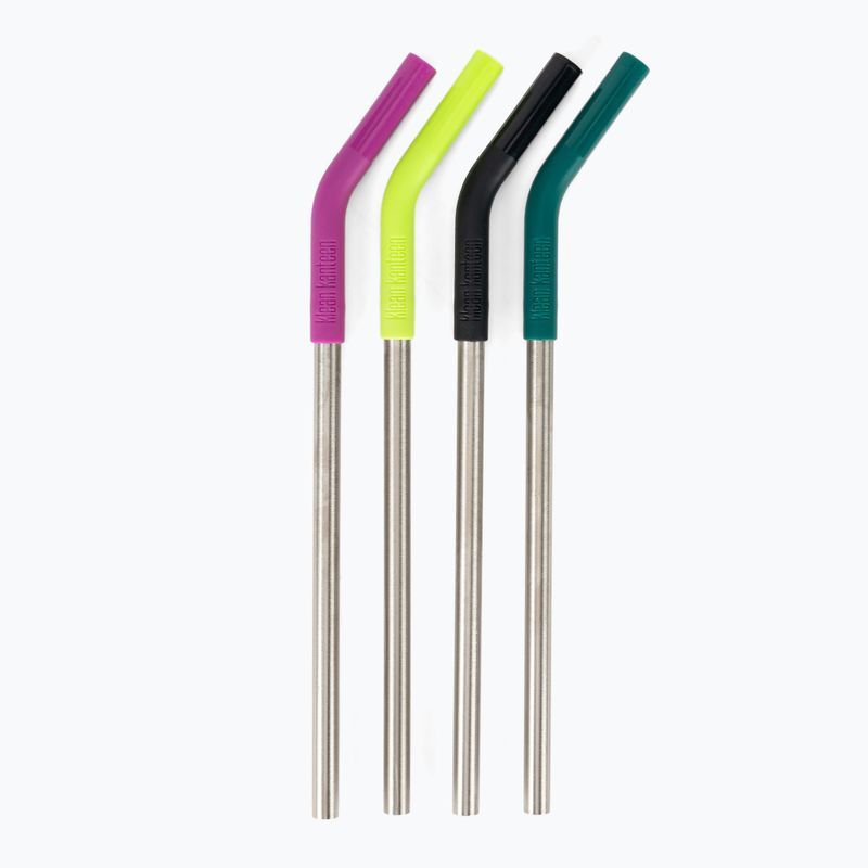 Klean Kanteen Straw 4 Pack multi colour