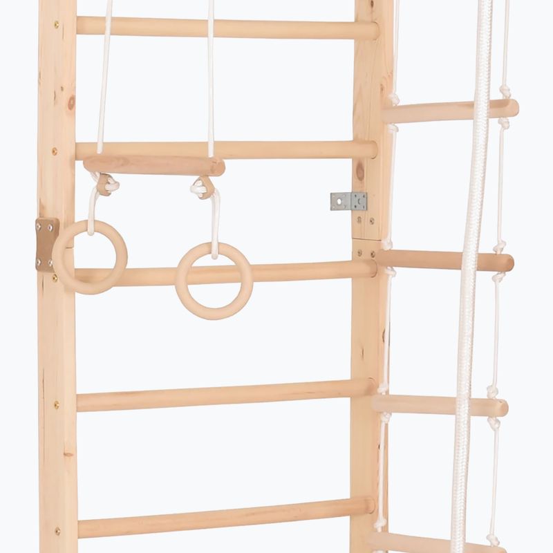 RINAGYM Sport 2 gymnastic ladder 3