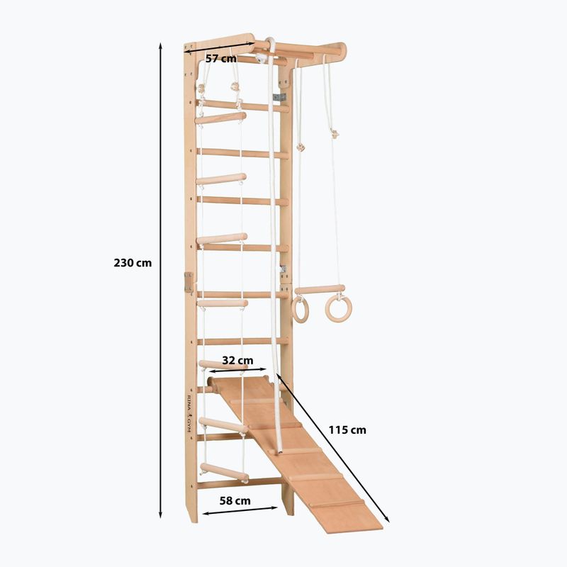 RINAGYM SPR B+SLIDE gymnastic ladder 10