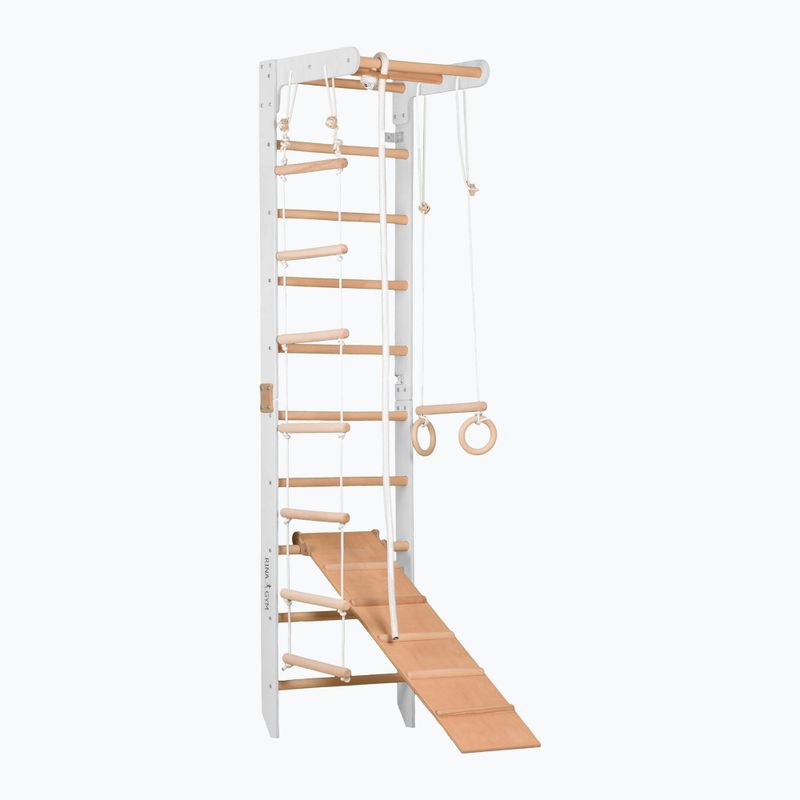 RINAGYM SPR B+SLIDE gymnastic ladder