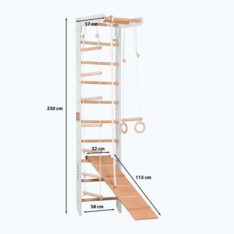 RINAGYM SPR B+SLIDE gymnastic ladder 2