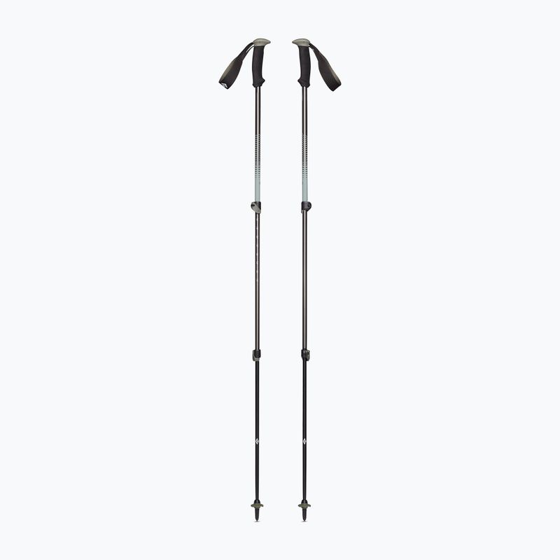 Black Diamond Alpine Carbon tundra trekking poles