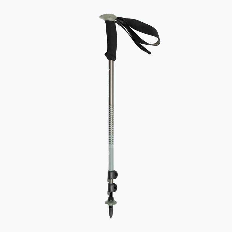 Black Diamond Trail Back Trek trekking poles grey BD1125483010 2
