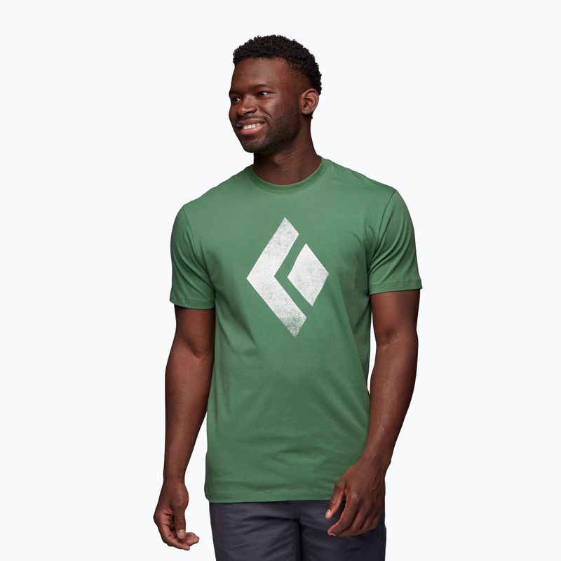 Black Diamond Chalked Up men's climbing t-shirt green APUO953050LRG1