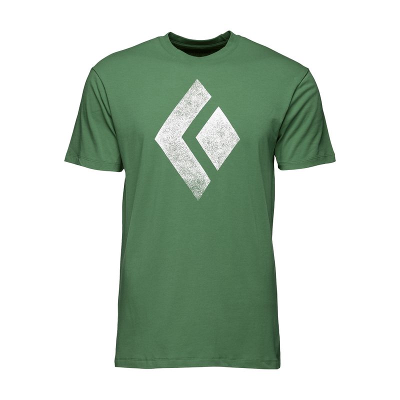 Black Diamond Chalked Up men's climbing t-shirt green APUO953050LRG1 4