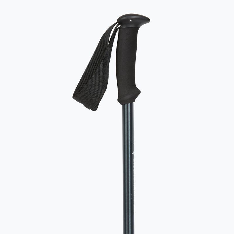 Black Diamond Explorer 2 Trekking poles ink blue 2