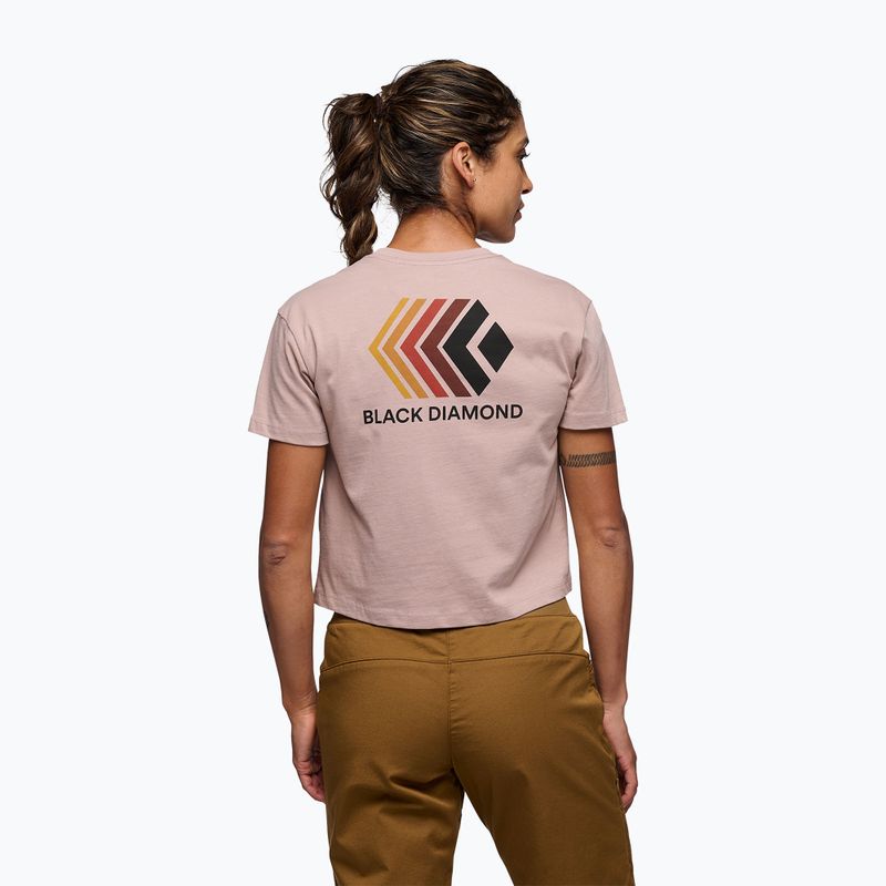 Women's Black Diamond Faded Crop pale mauve T-shirt 3