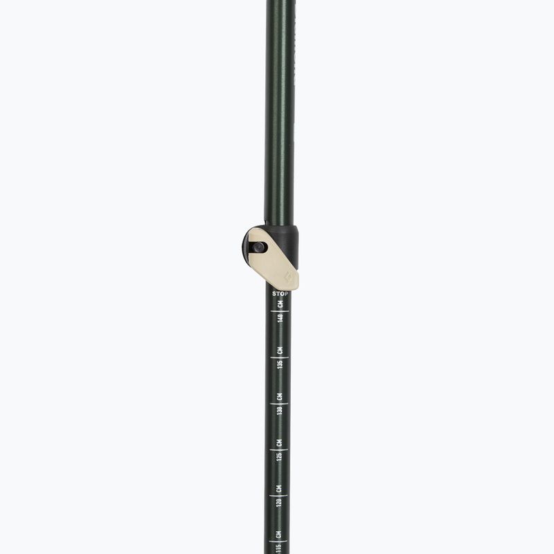 Black Diamond Trail Cork Trekking Poles laurel green 4