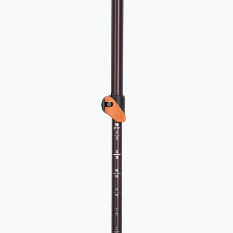 Black Diamond Trail Cork Trekking poles fig. 4