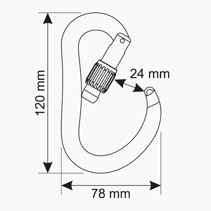 Climbing carabiner CAMP Atom Lock gun metal 3