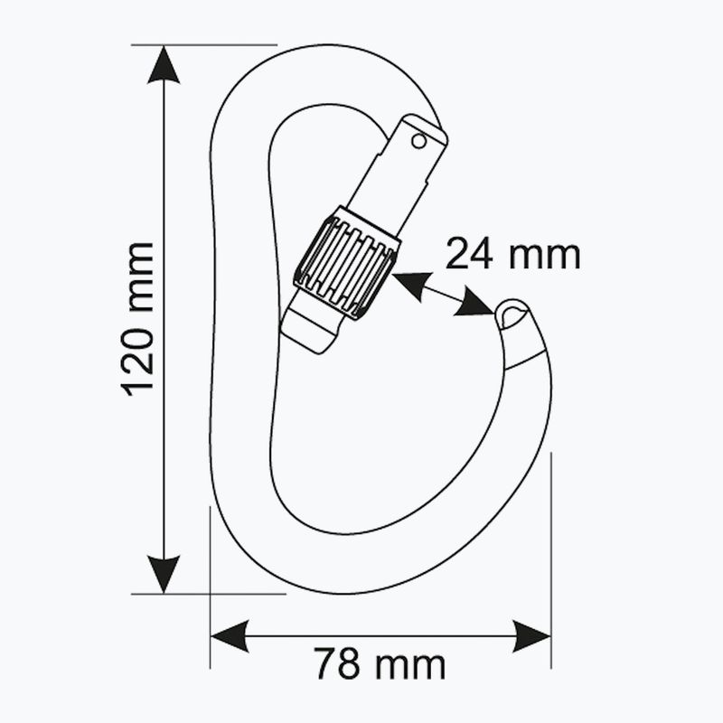 Climbing carabiner CAMP Atom Lock black 3