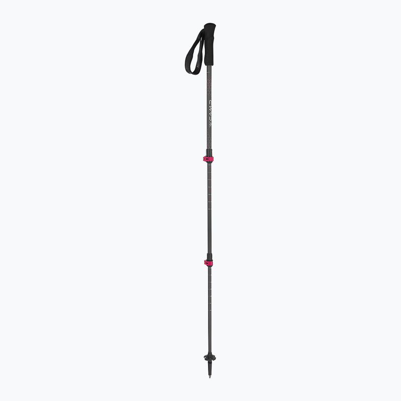 Trekking poles CAMP Backcountry Carbon 2