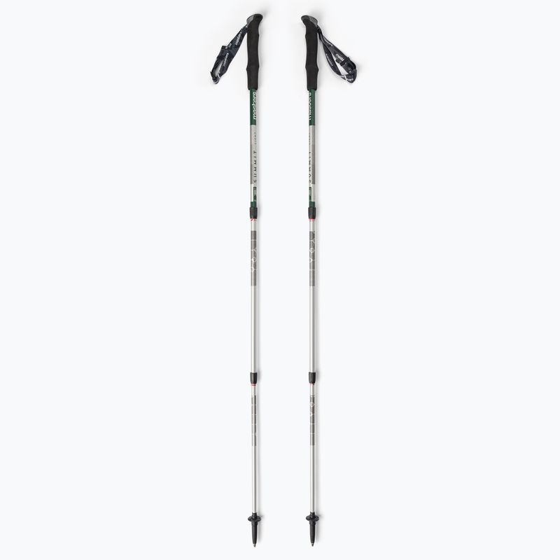 Masters Pole Summit Light green 01S4519 trekking poles