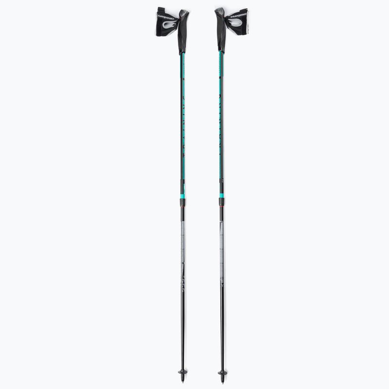 Masters Pole Training Nordic walking poles black 01N0620