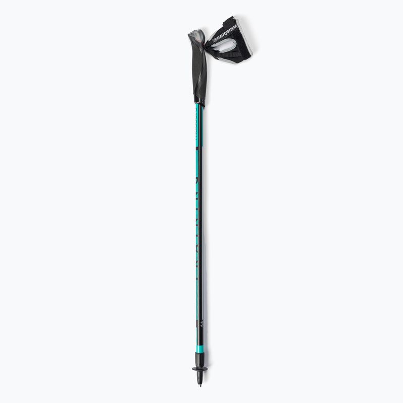 Masters Pole Training Nordic walking poles black 01N0620 6