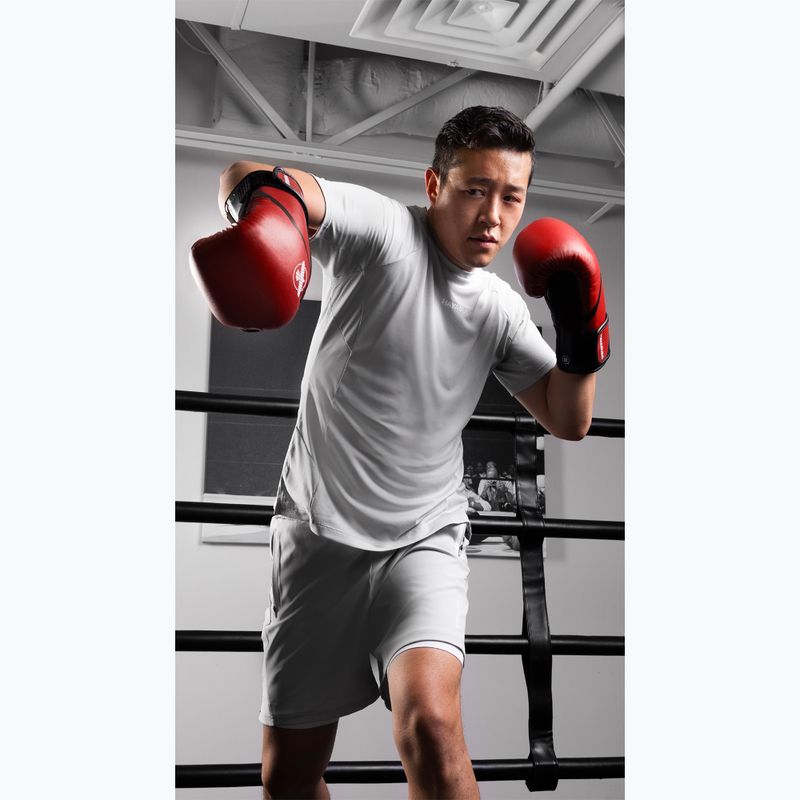 Boxing gloves Hayabusa E1 Boxing red/black 15