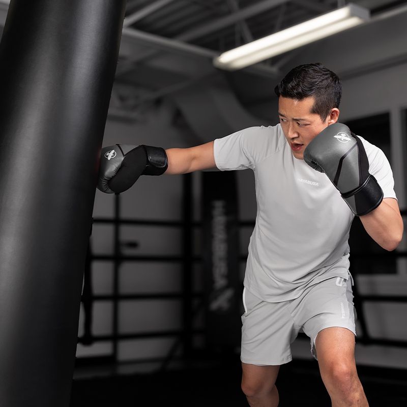 Boxing gloves Hayabusa E1 Boxing grey/black 15